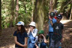 SOLA-2023-1038-scaled