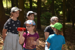 SOLA-2023-1041-scaled