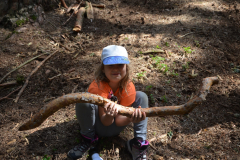 SOLA-2023-1043-scaled