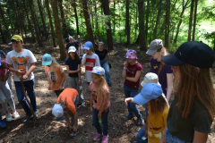 SOLA-2023-1062-scaled