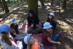 SOLA-2023-1068-scaled