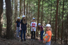 SOLA-2023-1070-scaled