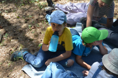 SOLA-2023-1071-scaled