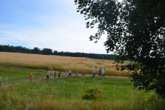 SOLA-2023-1080-scaled