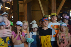 SOLA-2023-1095-scaled