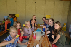 SOLA-2023-1135-scaled