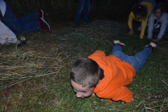 SOLA-2023-116-scaled