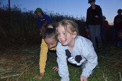 SOLA-2023-117-scaled