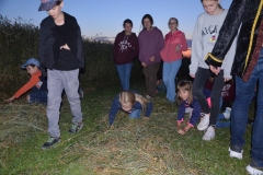 SOLA-2023-118-scaled