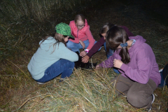 SOLA-2023-123-scaled