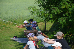 SOLA-2023-142-scaled