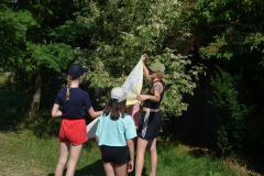 SOLA-2023-182-scaled