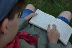 SOLA-2023-193-scaled