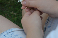 SOLA-2023-194-scaled