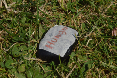 SOLA-2023-200-scaled