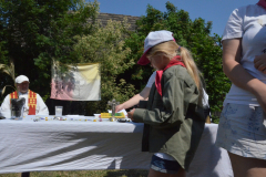 SOLA-2023-204-scaled